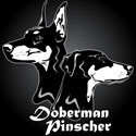 Doberman Pinscher Woodcut