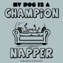 Champion Napper