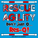 Rescue Agility--Don't Just Q, Res-Q!