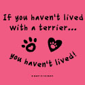 If You Haven't Lived with a Terrier, You Haven't Lived!